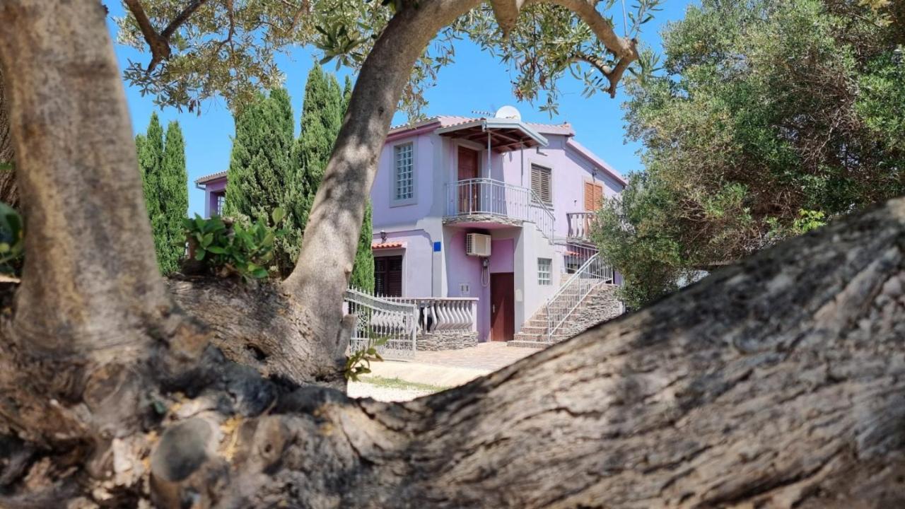 Apartmani Nika Bibinje Buitenkant foto