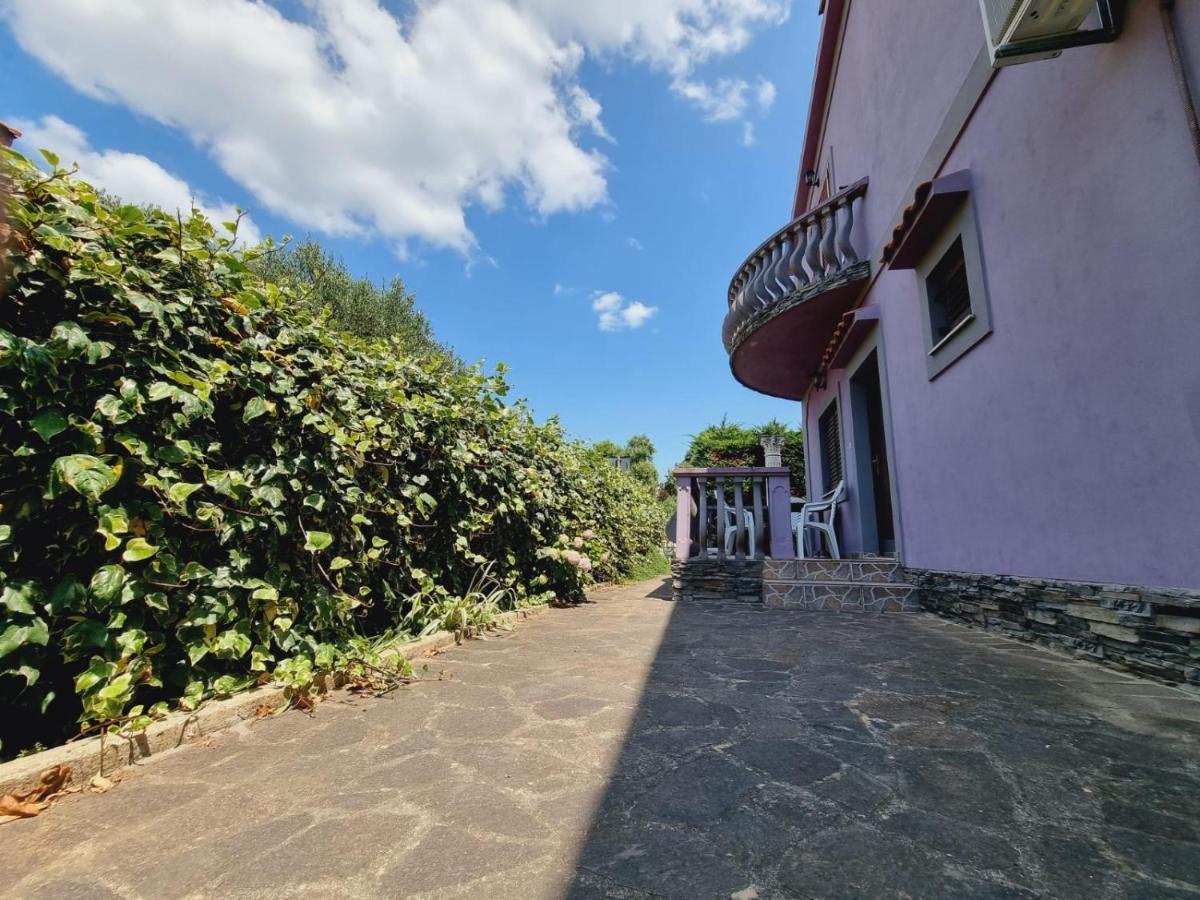 Apartmani Nika Bibinje Buitenkant foto